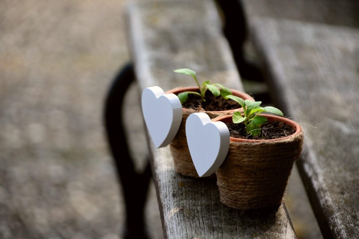 Unlocking Natural Fertility: Secrets to Enriching Your Home Garden Soil