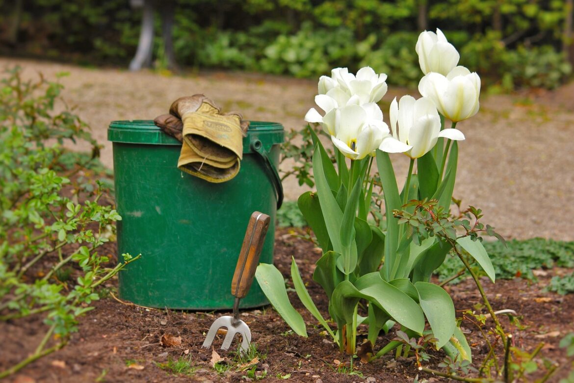 Summer vs. Winter Watering: Optimizing Plant Health Through Seasonal Techniques